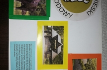 IMG-20210417-WA0001