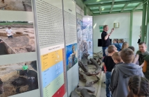 W muzeum 11