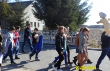 SAM_0242