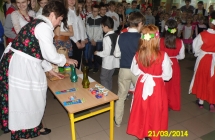 SAM_0247
