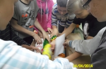SAM_0363