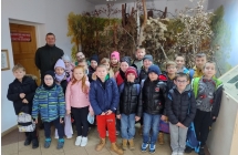 Nadlesnictwo kl. 2-3 13