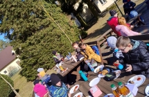 Nadlesnictwo kl. 2-3 11