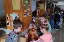 Nadlesnictwo kl. 2-3 6