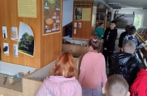 Nadlesnictwo kl. 2-3 5