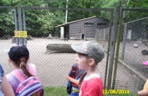 SAM_0525