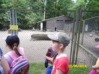 SAM_0525