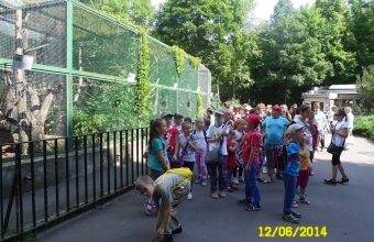 SAM_0520