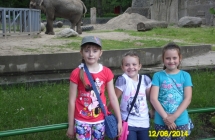 SAM_0522