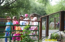 SAM_0521