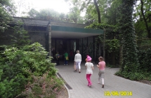 SAM_0529