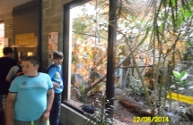 SAM_0530