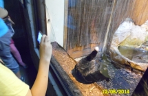 SAM_0533