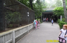 SAM_0534