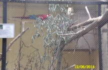 SAM_0536