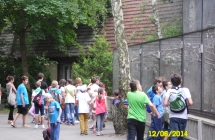 SAM_0535