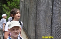 SAM_0537