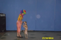 SAM_0886