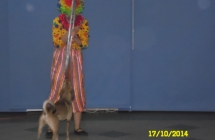 SAM_0887