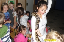 SAM_0914