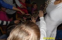 SAM_0916