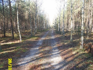 SAM_0930