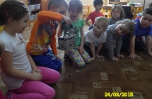 SAM_1535