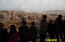 SAM_1877