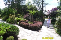 SAM_1923