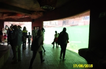SAM_1939