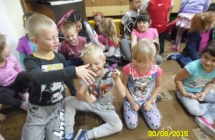 SAM_2175