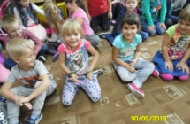 SAM_2176