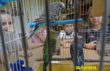 SAM_2369