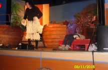 SAM_2407