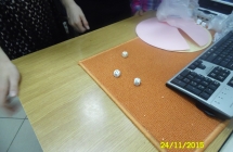 SAM_2508
