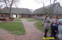 SAM_2641