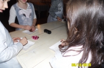 SAM_2647