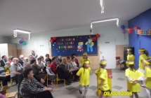 SAM_2913