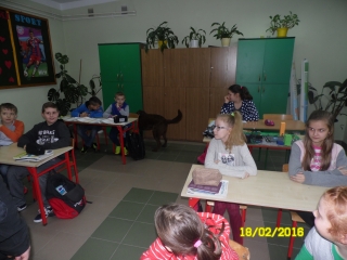 SAM_2995