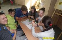 SAM_3164