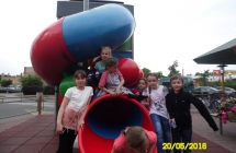SAM_3553