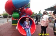 SAM_3545