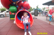 SAM_3537