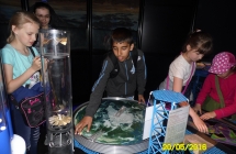 SAM_3507