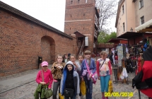 SAM_3485