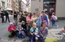 SAM_3452