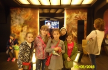 SAM_3422