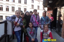 SAM_3426