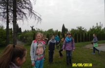 SAM_3387