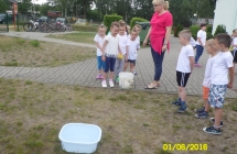 SAM_3634